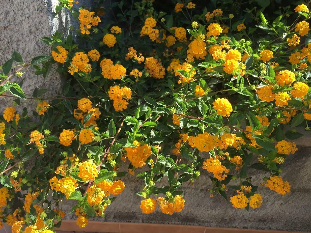 Mastrissa Country House Taormina Italy